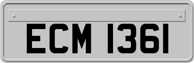 ECM1361