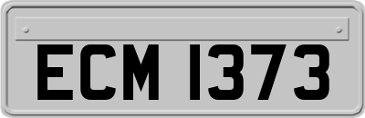 ECM1373
