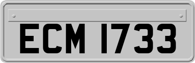 ECM1733