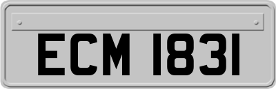 ECM1831
