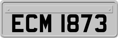 ECM1873