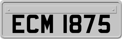 ECM1875