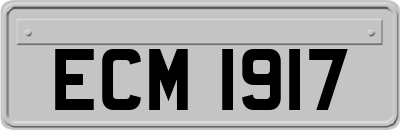 ECM1917