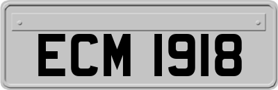 ECM1918