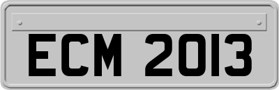 ECM2013
