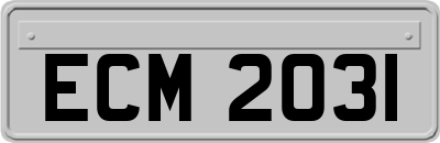 ECM2031