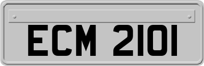 ECM2101