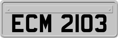 ECM2103