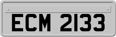 ECM2133