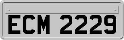 ECM2229