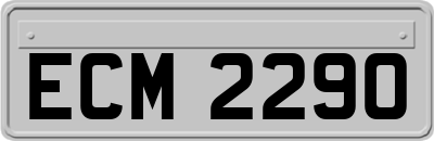 ECM2290