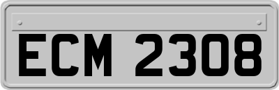 ECM2308