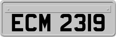 ECM2319