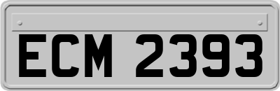 ECM2393
