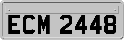 ECM2448
