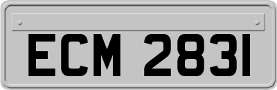 ECM2831