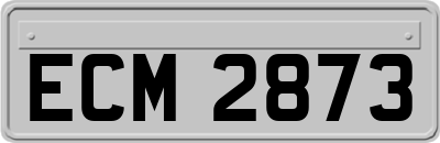 ECM2873