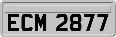 ECM2877