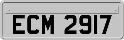 ECM2917