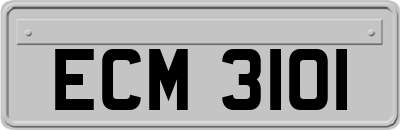 ECM3101