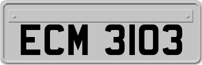 ECM3103