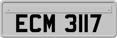 ECM3117