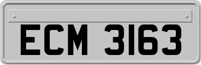 ECM3163