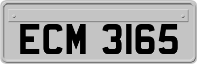 ECM3165