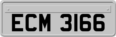 ECM3166