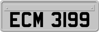 ECM3199