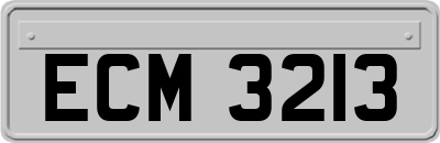 ECM3213