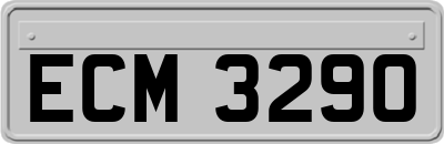 ECM3290