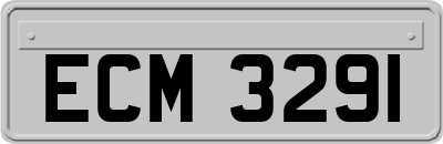 ECM3291