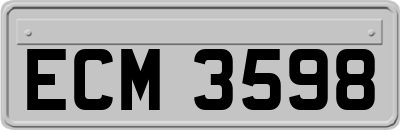 ECM3598
