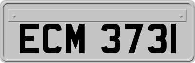 ECM3731