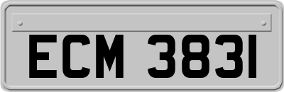 ECM3831