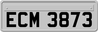 ECM3873