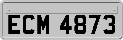ECM4873