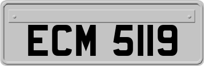 ECM5119
