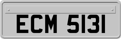 ECM5131