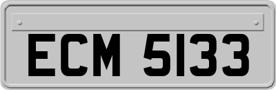 ECM5133