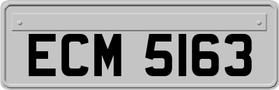 ECM5163