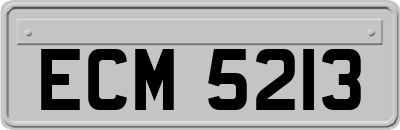 ECM5213