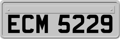 ECM5229