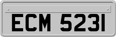 ECM5231