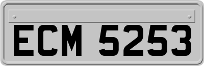 ECM5253