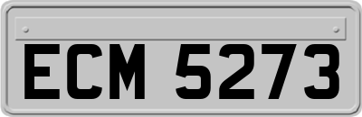 ECM5273