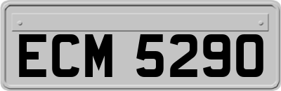 ECM5290
