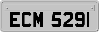 ECM5291