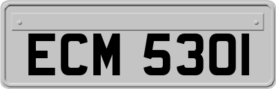 ECM5301